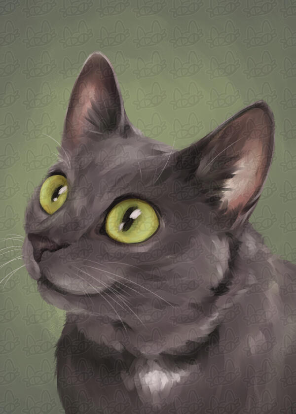 sombra - pet portrait gift